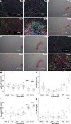 Identification of Schistosoma mansoni miracidia attractant candidates in infected Biomphalaria glabrata using behaviour-guided comparative proteomics